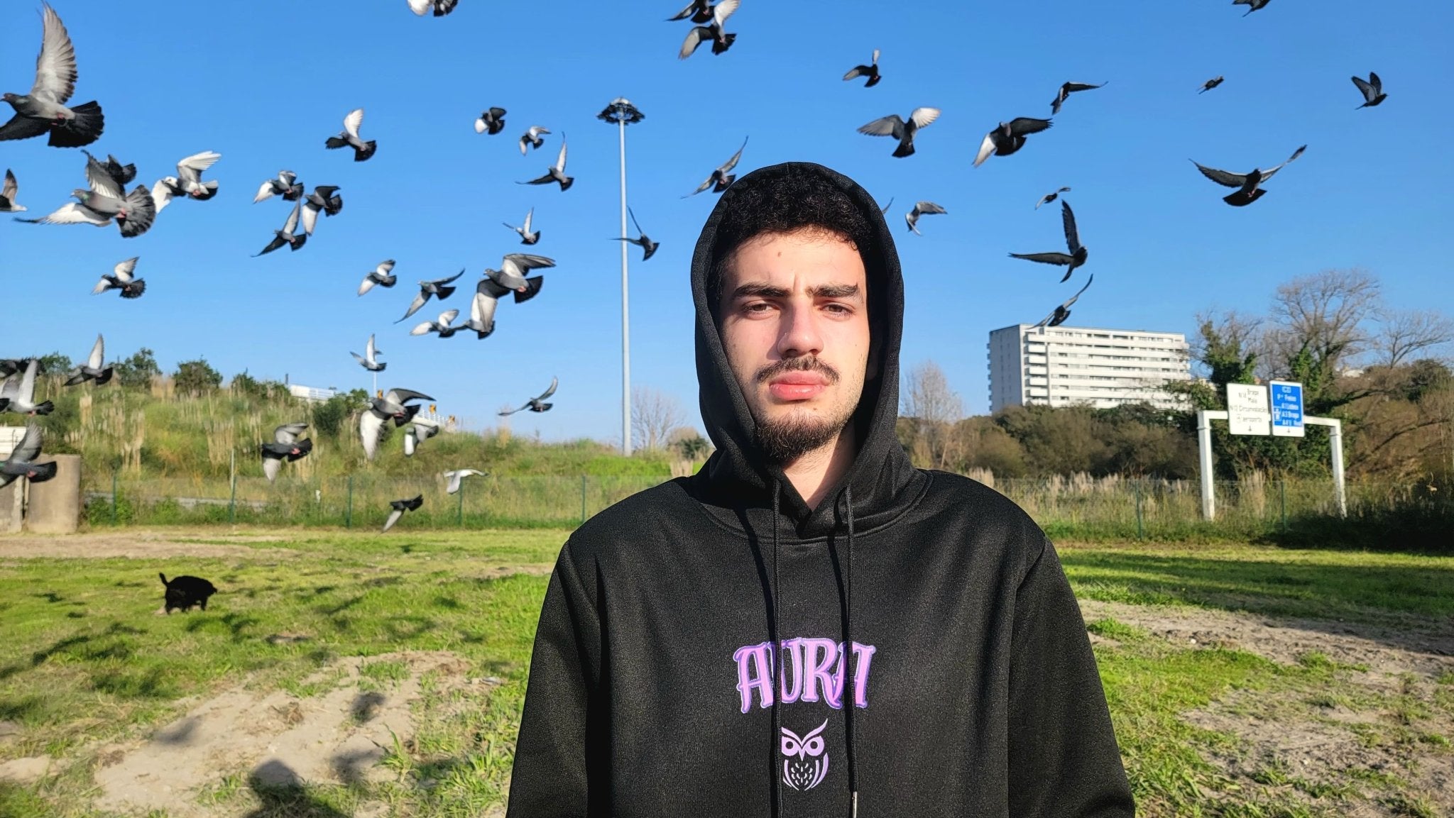 Winter Aura Hoodie - AuraAuraAuraWinter Aura Hoodie